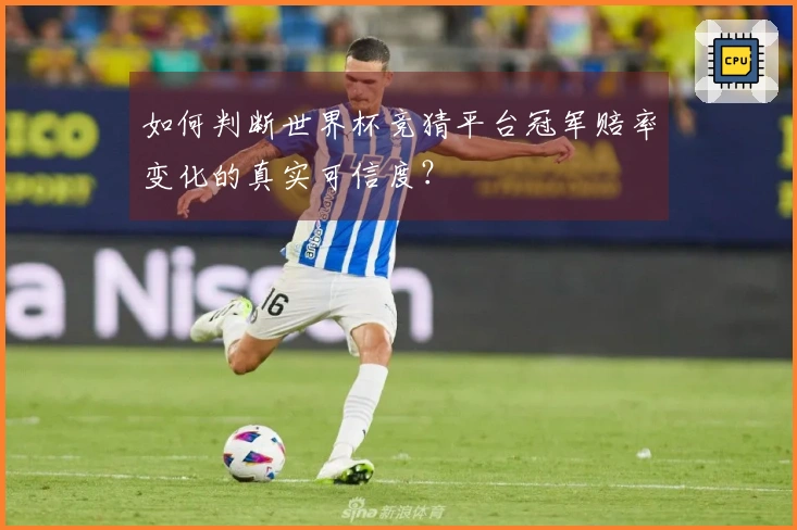 如何判断世界杯竞猜平台冠军赔率变化的真实可信度？