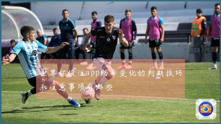 世界杯投注app赔率变化的判断技巧和注意事项有哪些