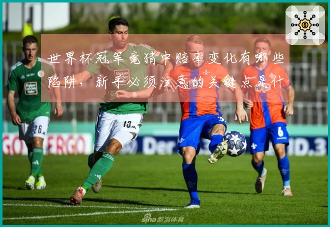 世界杯冠军竞猜中赔率变化有哪些陷阱，新手必须注意的关键点是什么