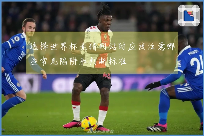 选择世界杯竞猜网站时应该注意哪些常见陷阱和判断标准