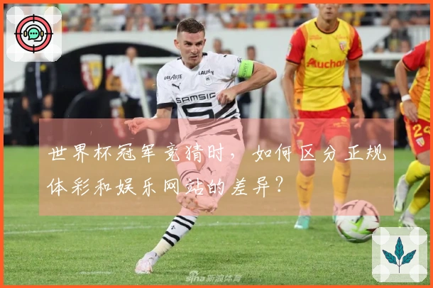 世界杯冠军竞猜时，如何区分正规体彩和娱乐网站的差异？